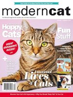 Modern Cat